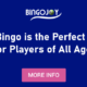Why bingo is the perfect game