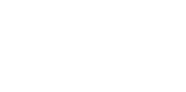 bingojoy - secret-slots-logo